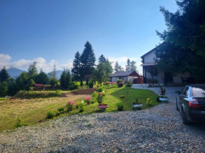 Căsuța din Pădure
